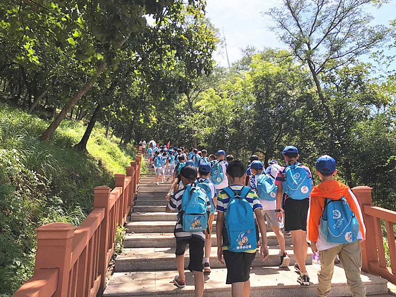 清洁能源绿色发展,龙源来安风电场简介