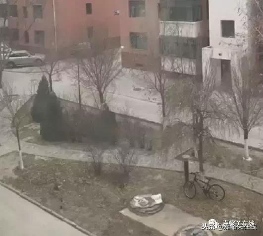 雪就这样悄无声息,开始期待冬天的嘉峪关了