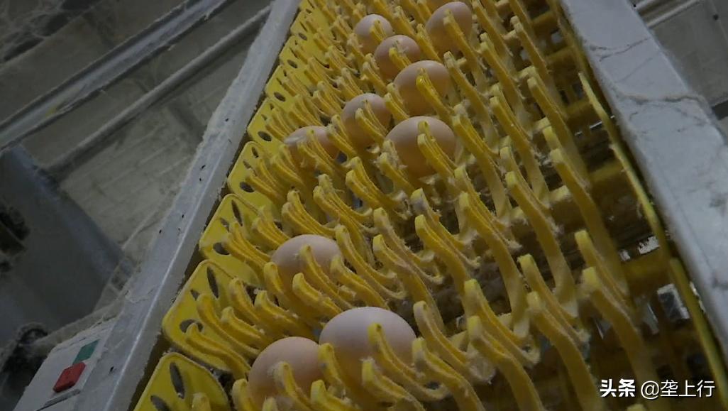 脱贫致富之后一年能挣多少钱,沪滇产业联动助脱贫户增收致富