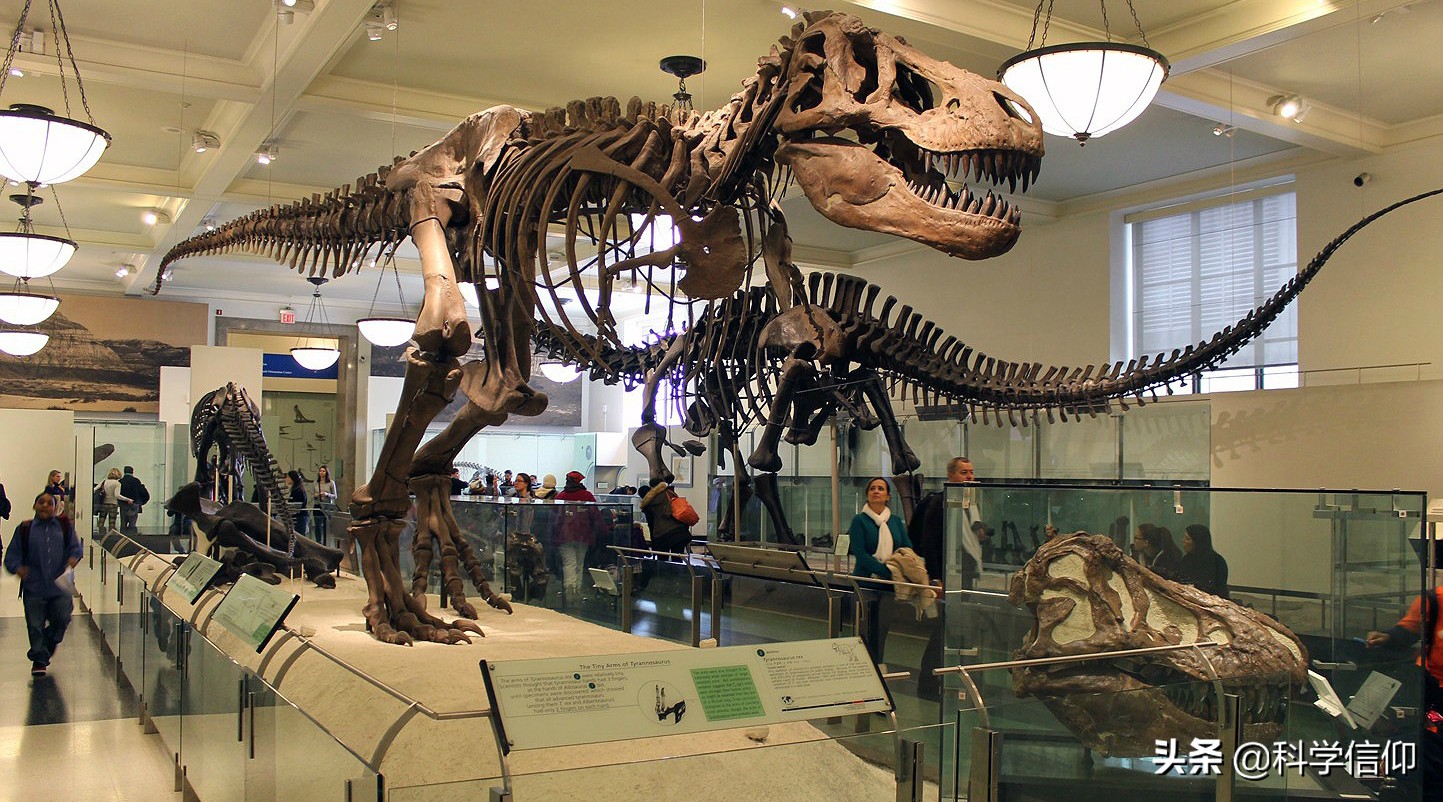 和恐龙灭绝时一样大的小行星,引起恐龙灭绝的小行星