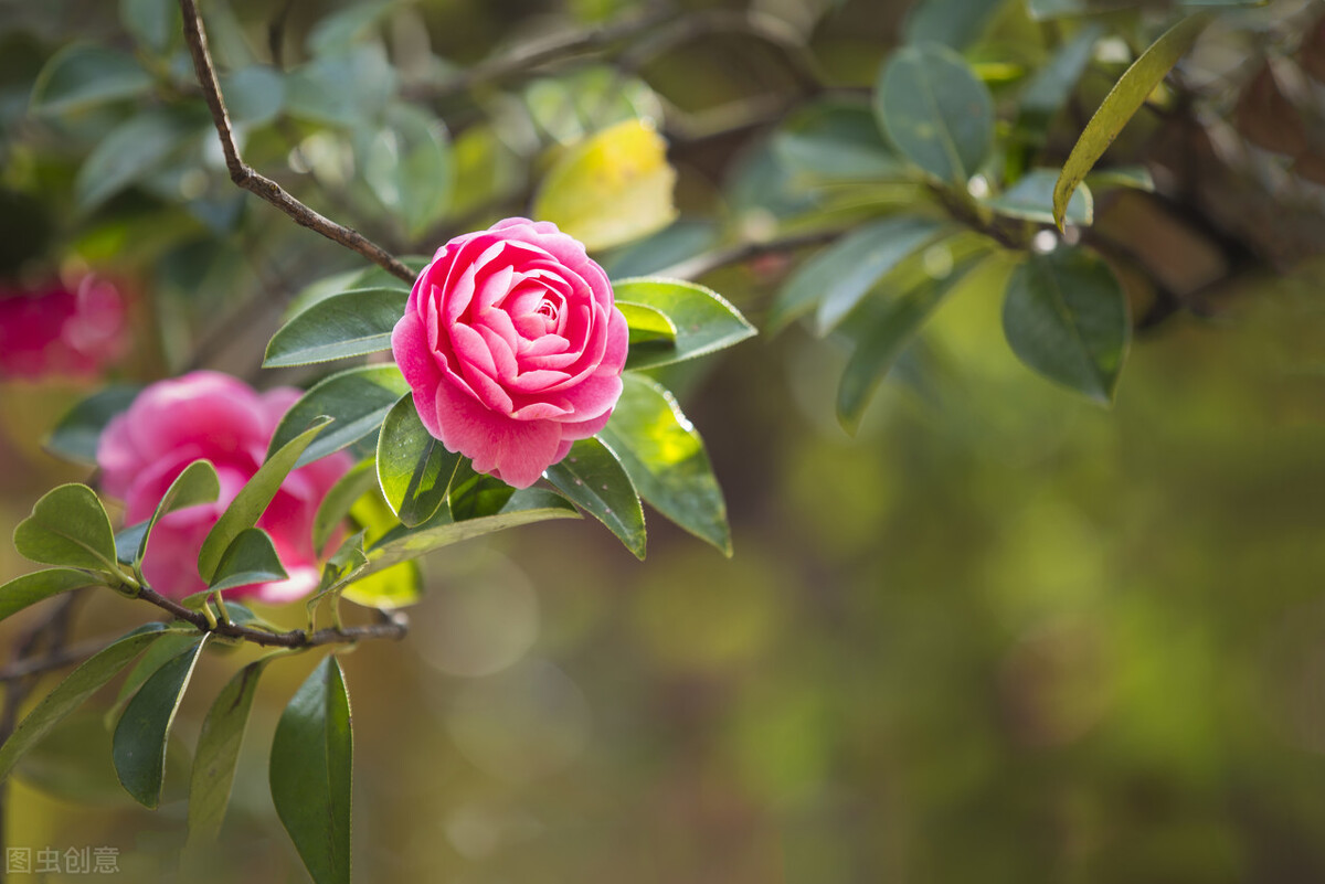 昆明市内游玩好去处 (云南昆明最值得玩的地方)