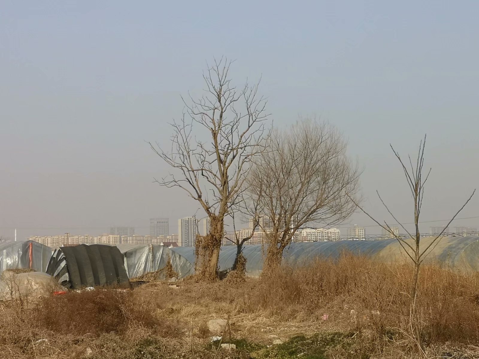 摩托附近风景,摩托打卡地附近