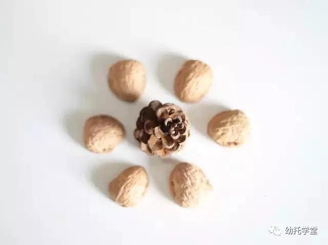 废物利用亲子手工制作坚果,创意坚果手工制作大全图片