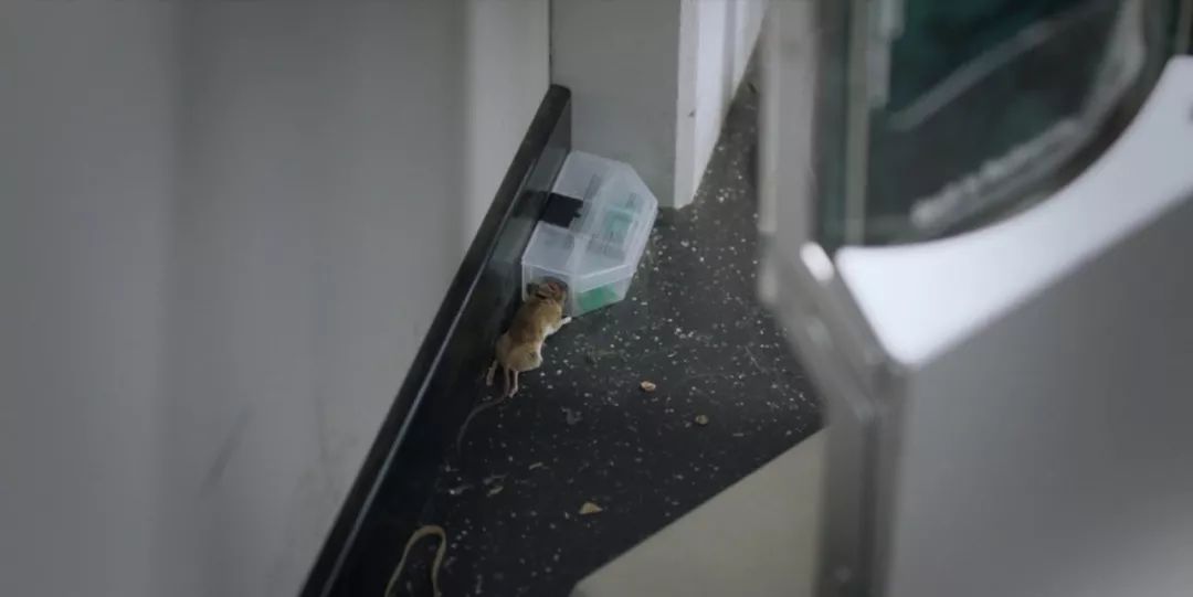 《报社》:我们不报道新闻,我们“讲故事”