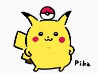 杀死装死的北美负鼠,会装死的猫