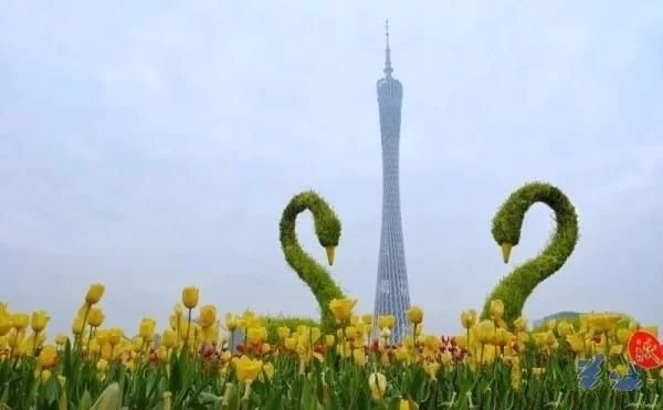 珠江三角洲旅游景点大全介绍,广州珠江三角洲冷门景点