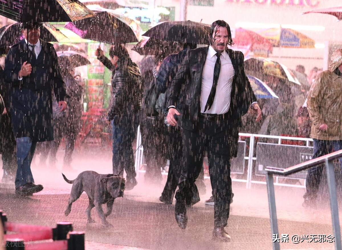 关于热门动作片，你可能不知道的10件事