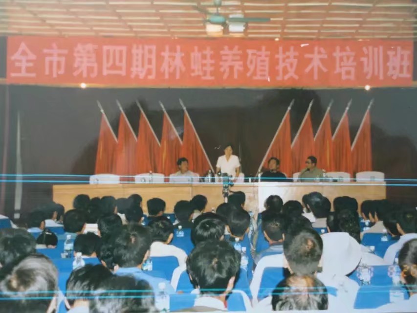 2000年伊春林区往事