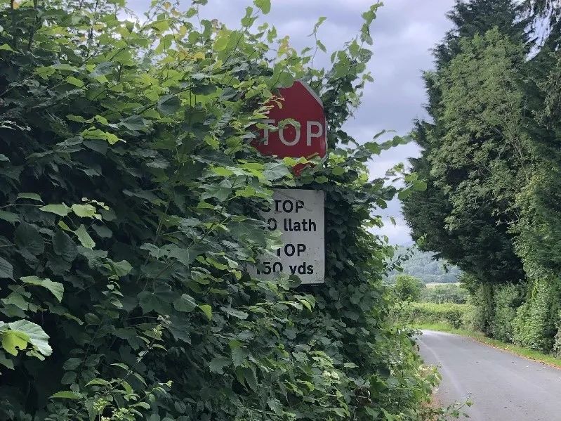 北大教授雷人言论,北大教授有哪些奇葩言论