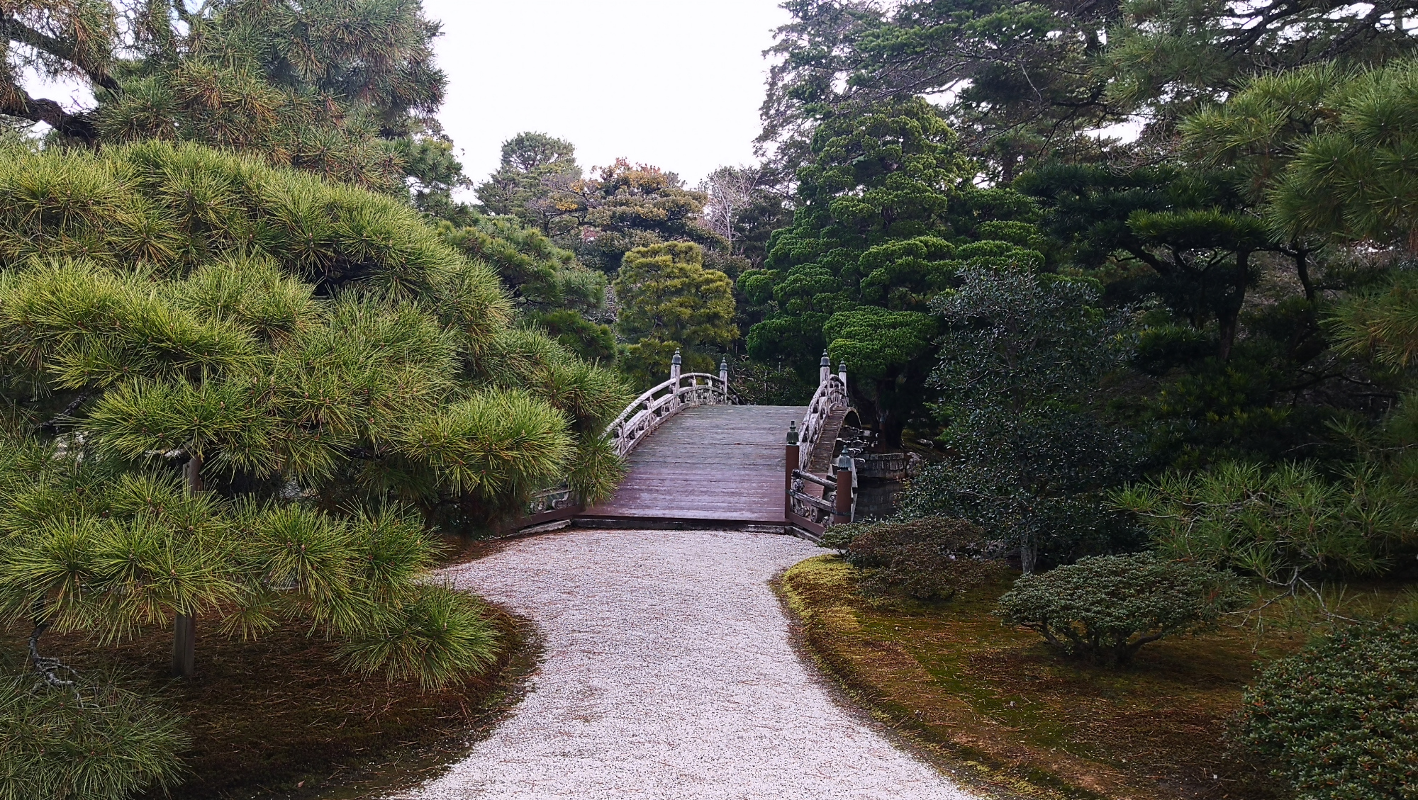 访京都名胜谈芳华变迁,探访日本京瓷