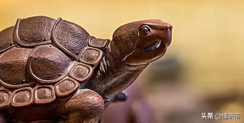 茶宠金蟾坏了会破财吗,茶宠的摆放有什么讲究和忌讳