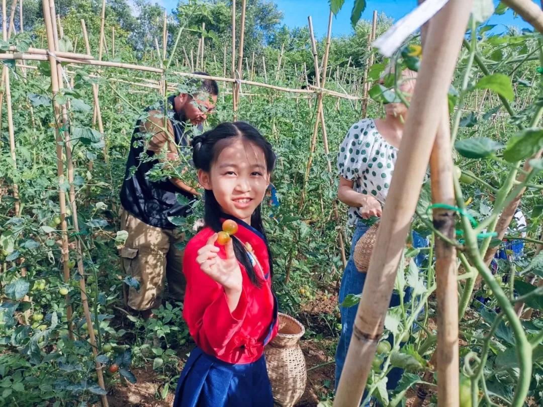 大地风景乡村振兴实验基地大吉祥村迎来本草小象馆加盟