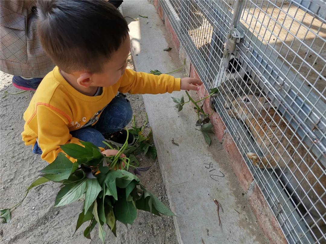 过年相城游玩攻略,相城区冬日游玩攻略