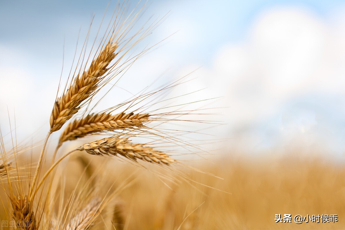 小学解题思维汇编,三下面积题型解题汇编