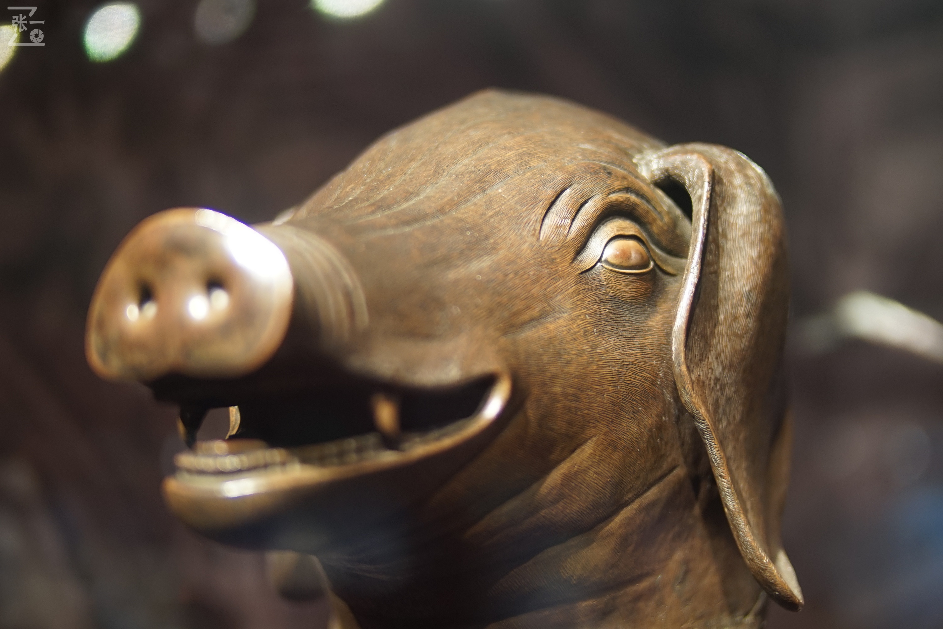 中国产微单,24-135镜头索尼