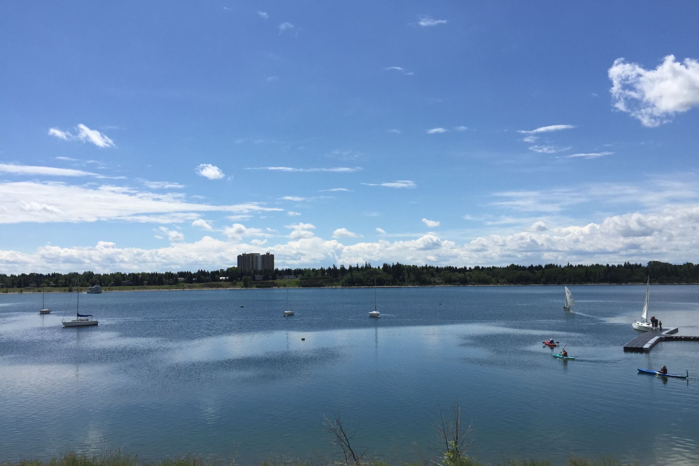 移民后需要准备哪些工作,移民后我才逐渐明白的六件事