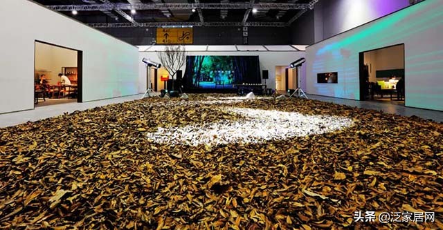 落叶为相重生为实谁是璞睿十年要等的人?