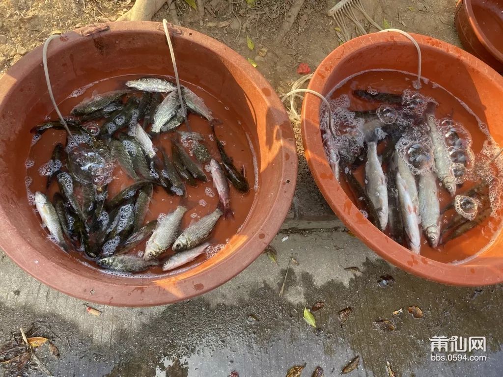 赚祖！这群莆田人靠着这些东西，就能日赚500块钱，厉害