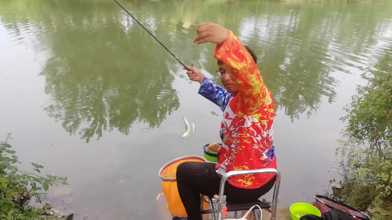 这种鱼哪都有，而且一来就是一大群，吃口又快又猛，别说你没钓过