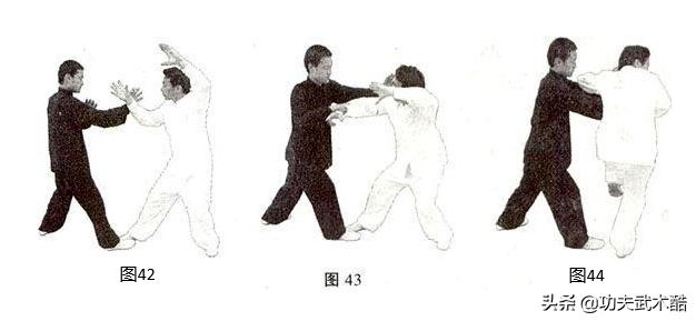 八卦掌散手十八式绕树打法,八卦掌散手技法应用