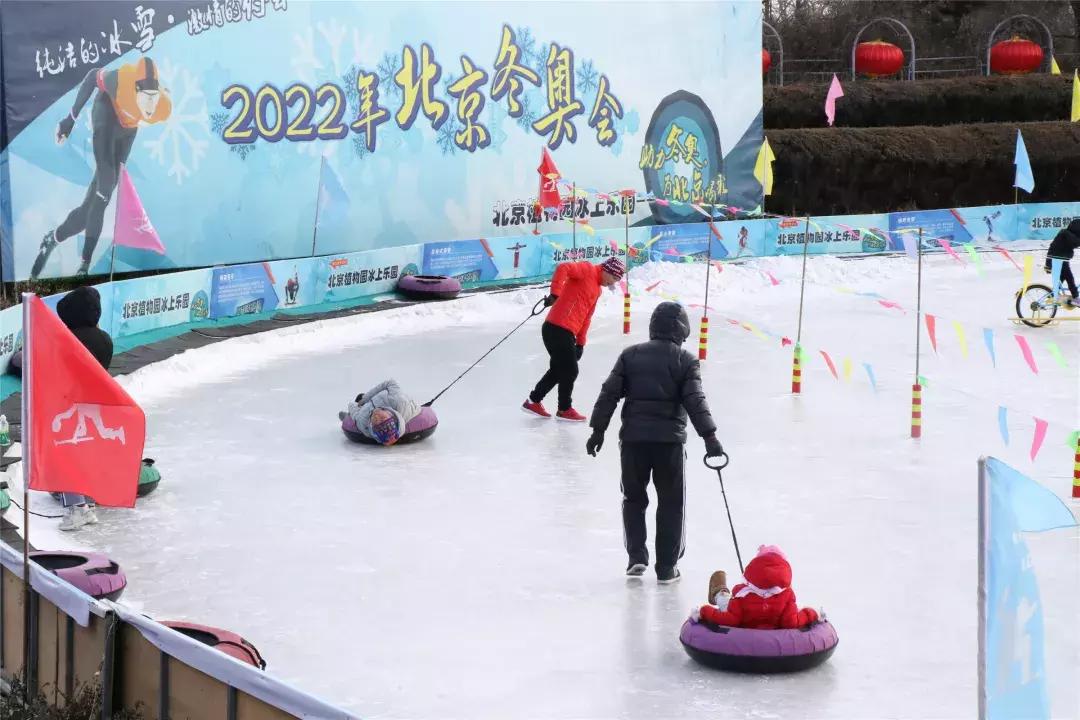 美美美！海淀这个地儿，万株兰花惊艳来袭，你招架的住吗？