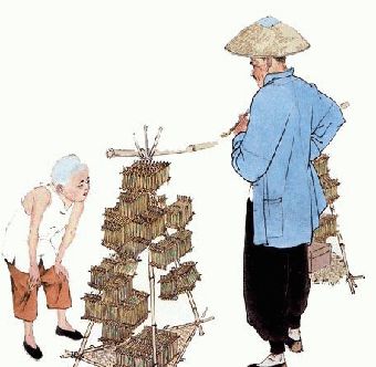 吸猫养狗和养猫的不同之处,养宠物猫比较流行的城市