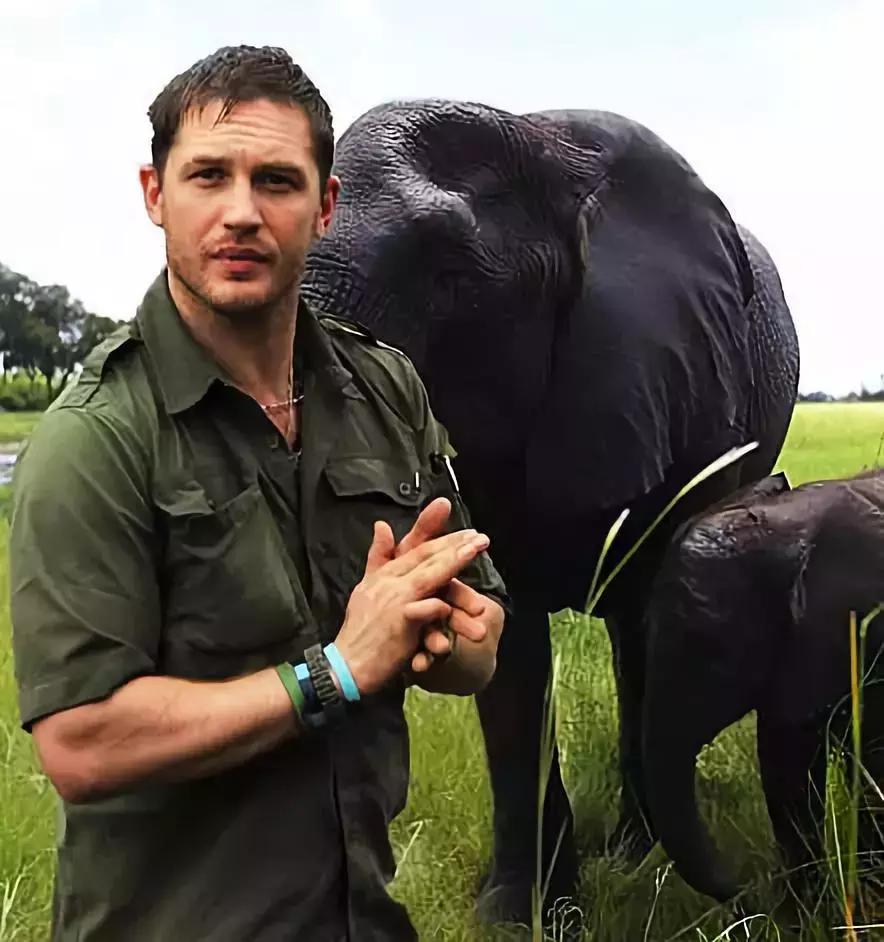 五大三粗的汤姆·哈迪，为什么还把妹子迷的不要不要的