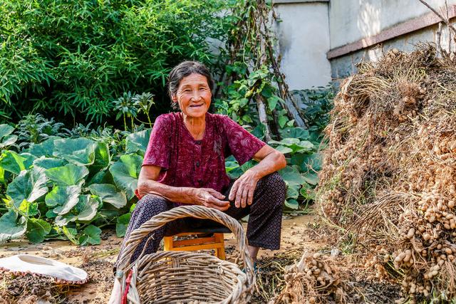 “人老了，儿女不赡养老人怎么办？”4位老人给出4种方法，聪明