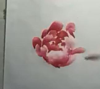 干货！简单的写意牡丹画法步骤，看完的人都会画了，您学会了么？