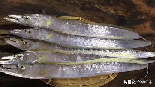 全国十大海鲜排名,中国海鲜十大产地排名最新