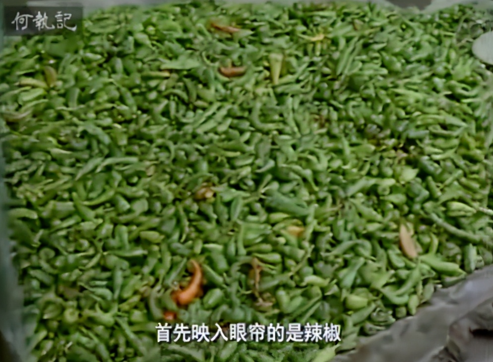 豆瓣9.3，外国人拍的“舌尖上的中国”，馋疯我了