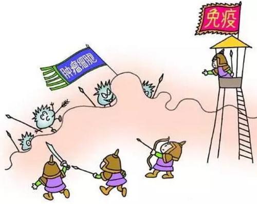 为什么医生不建议提高免疫力,为什么医生不建议免疫治疗