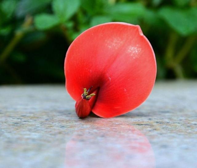 穷人为什么穷富人为什么富视频,穷人为何穷富人为何富看了就明白