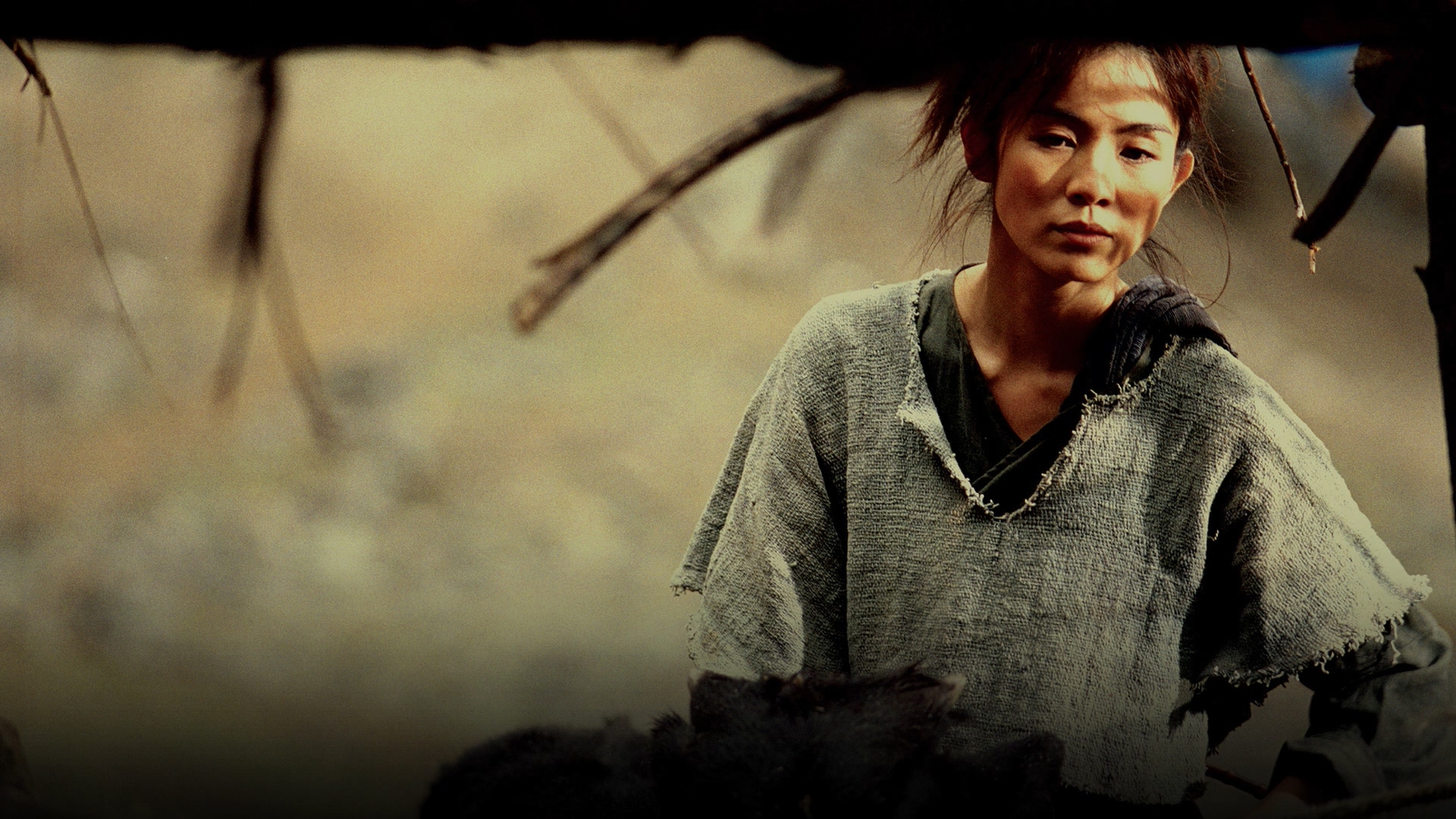 金城武对郑伊健的评价,金城武郑伊健最新消息