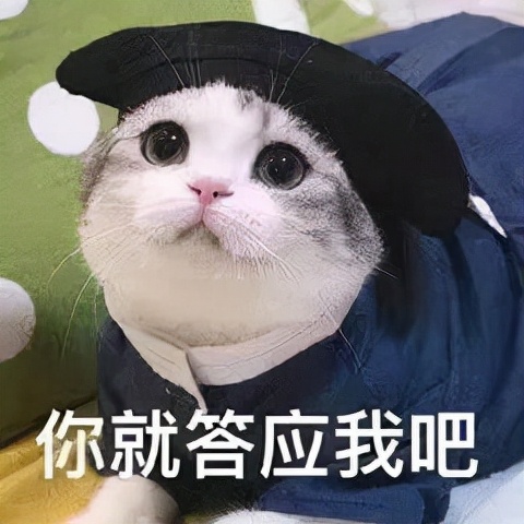 汪小菲和大s挫骨扬灰,汪小菲自曝还爱大s上热搜