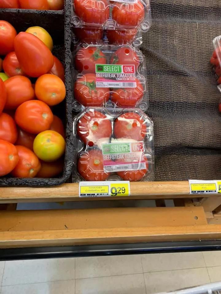 猎杀海豹，吃肉不吃素？！原住民们怒怼动保组织：站着说话不腰疼