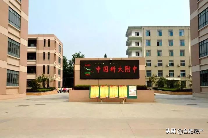 合肥性价比最高的小学学区房,合肥市十大中小学开学时间