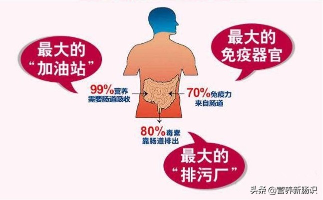 当你生病了应怎样调节心态好,生病怎样调节心态和情绪