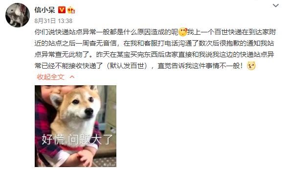 90万人梦碎!可信小呆的锦鲤一生,真那么痛快吗?