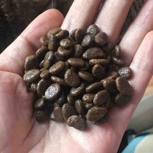 orijen渴望猫粮测评,orijen渴望猫粮官方旗舰店