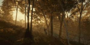 猎人荒野的呼唤游戏发展史,猎人荒野的呼唤选338还是300