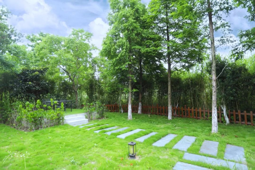 三月赏花一日游上海景点,本月上海赏花一日游最佳去处