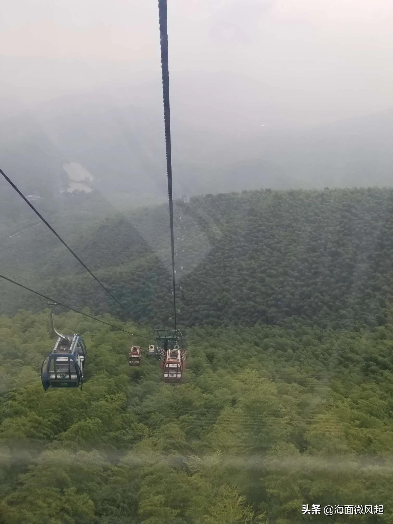 百里竹海森林氧吧,湖北宜兴竹海天然氧吧