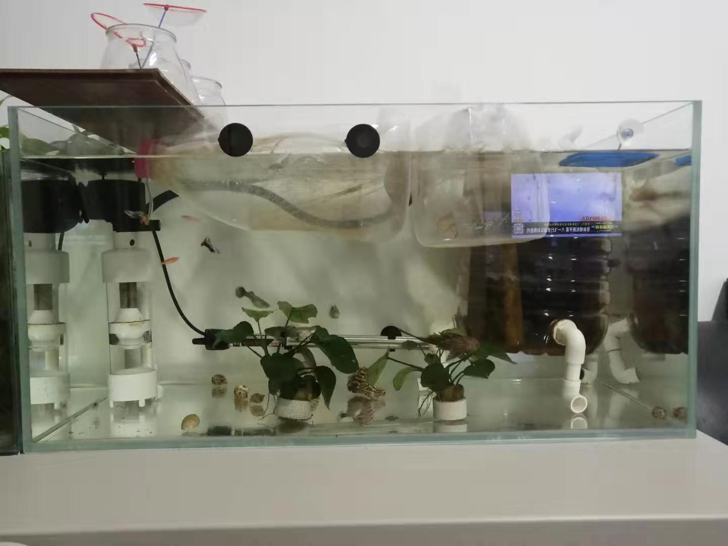 鱼便分离器制作方法,鱼便分离器详解