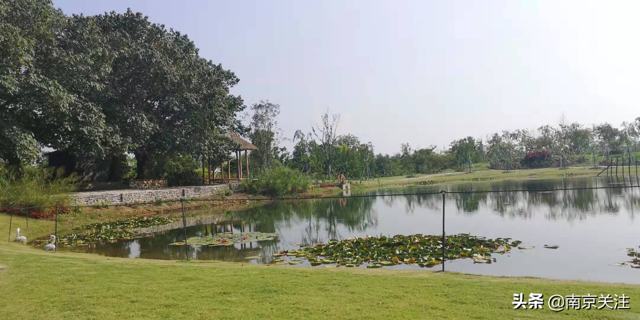 南京五一必打卡花海推荐,南京秋季网红打卡景点