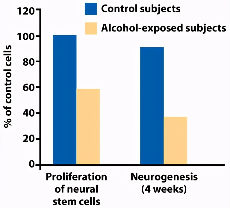 为什么少儿不能喝酒？酒精与学习成绩