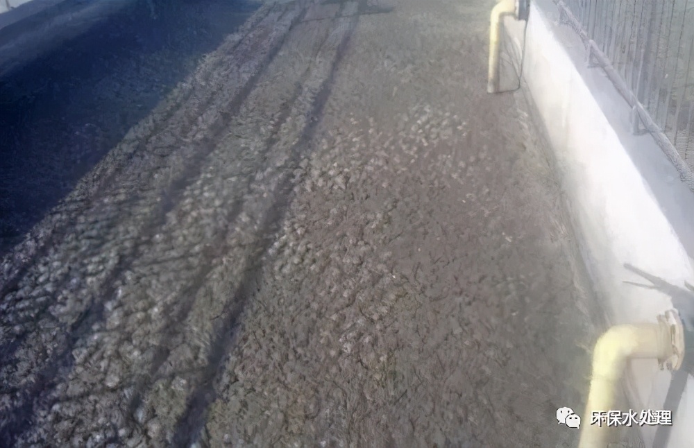 污泥异常,污泥上浮的原因及解决方法