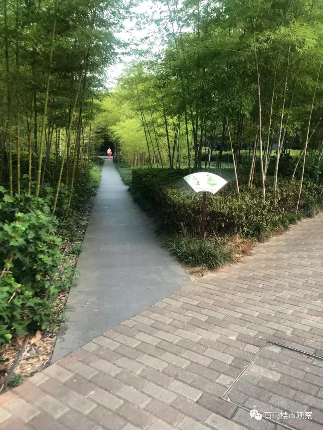 鍗椾含杩戜簲骞存埧浠锋定骞呮渶澶х殑灏忓尯,鍗椾含3鏈堟渶鏂板皬鍖烘垚浜や环