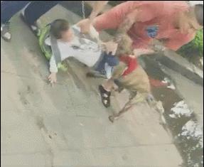 带孩子遇到被狗咬怎么自救,路遇疯狗应该怎么办