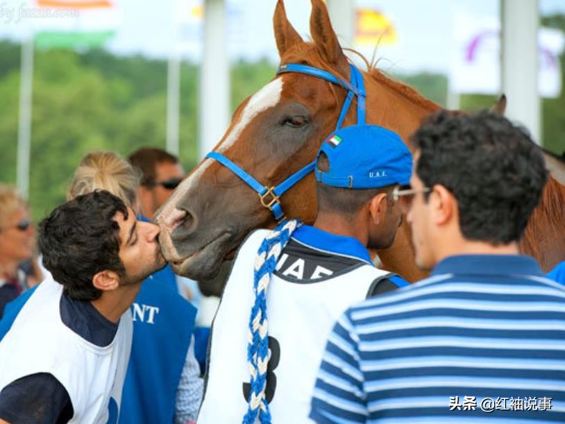 迪拜王子喜得龙凤胎,迪拜王储哈曼丹王子